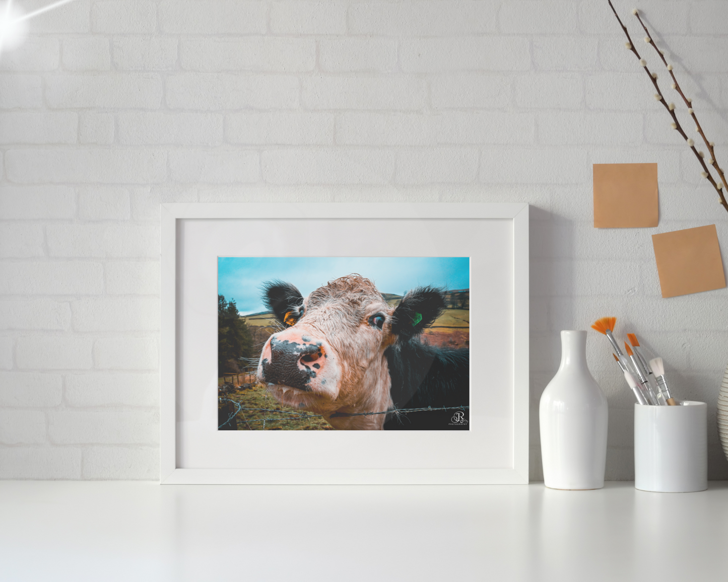 Curious Moo-d - A3 Framed Print