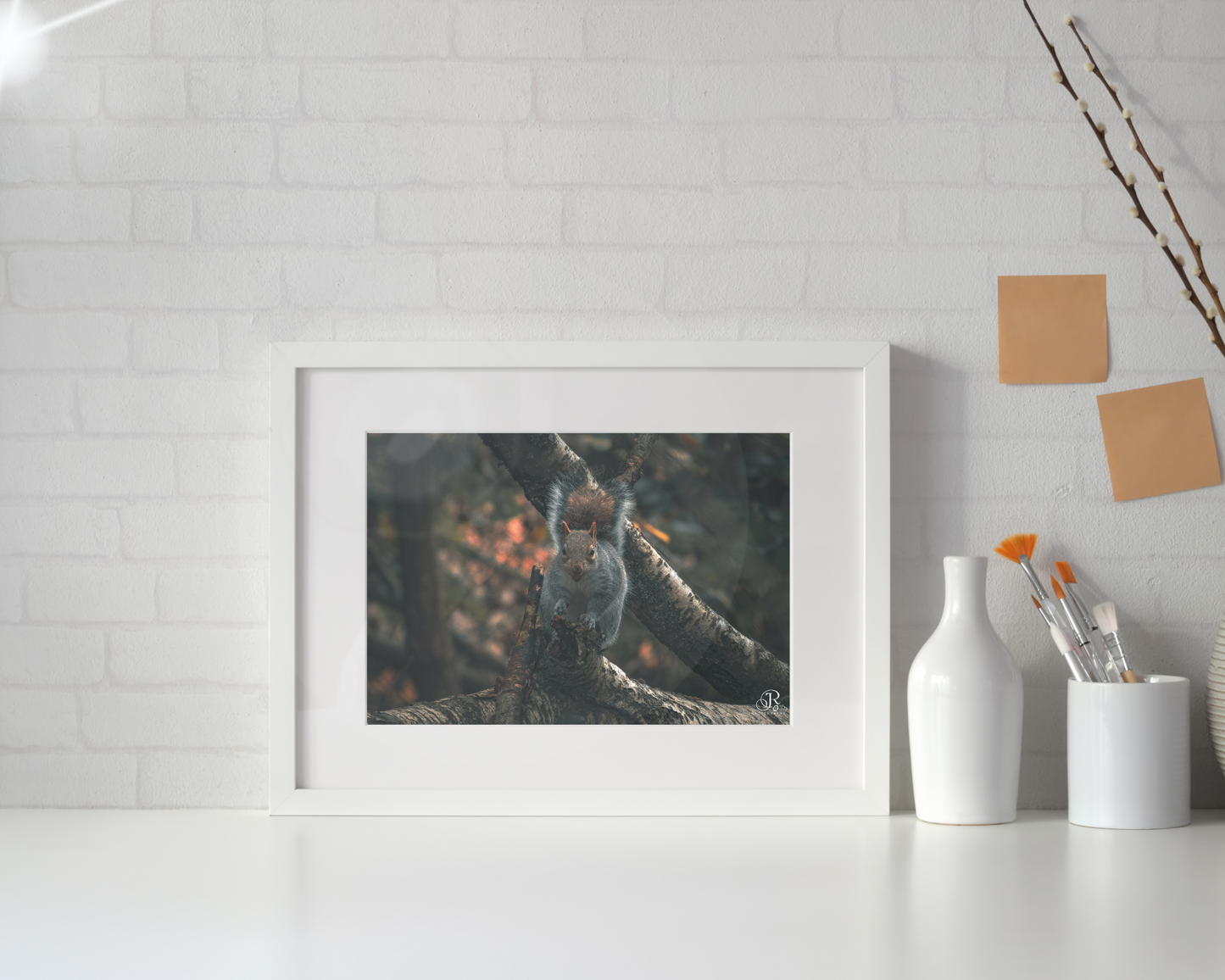 Curious Visitor - A3 Frammed Print
