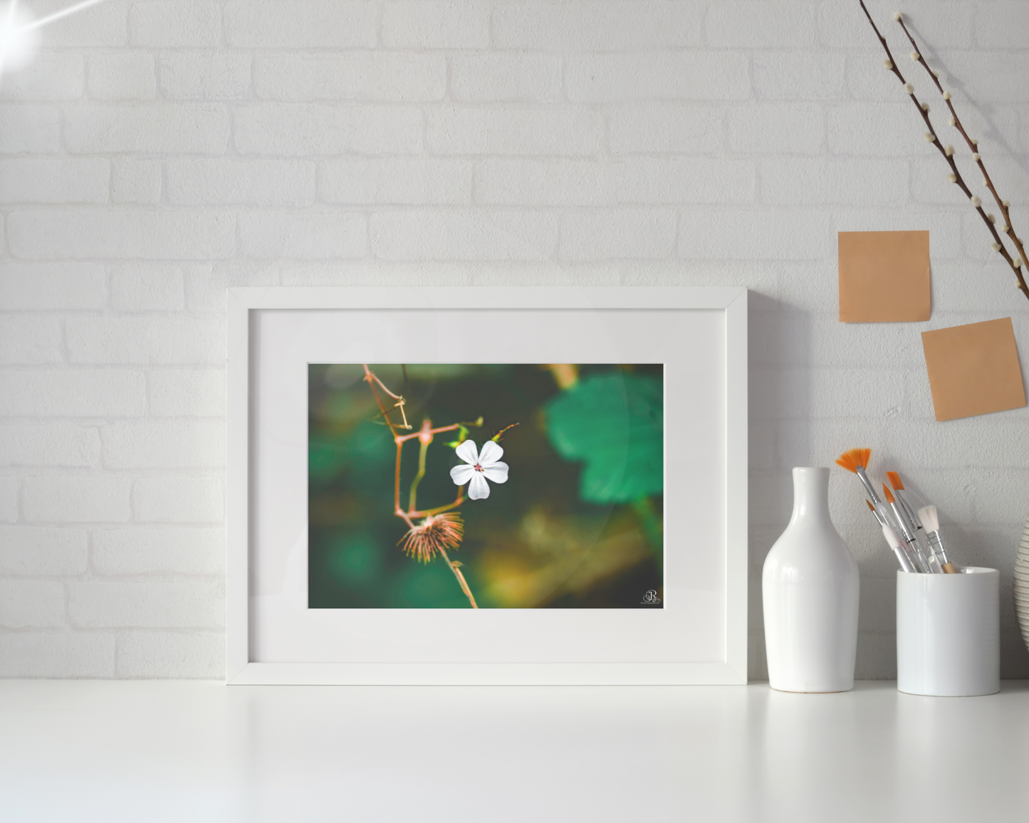 Stillness in Bloom - A3 Frammed  Print